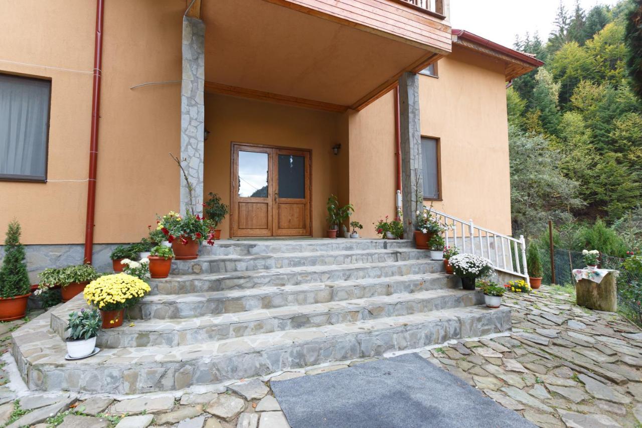 Pensiunea Casoca-Cascada Siriu Exterior photo